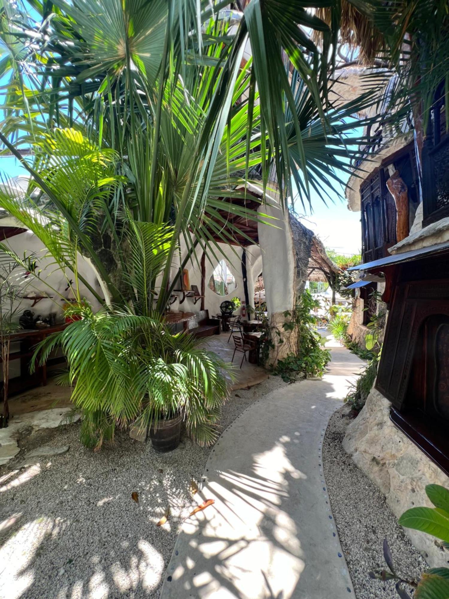 La Quinta Orquidea Bed and Breakfast Puerto Morelos Buitenkant foto