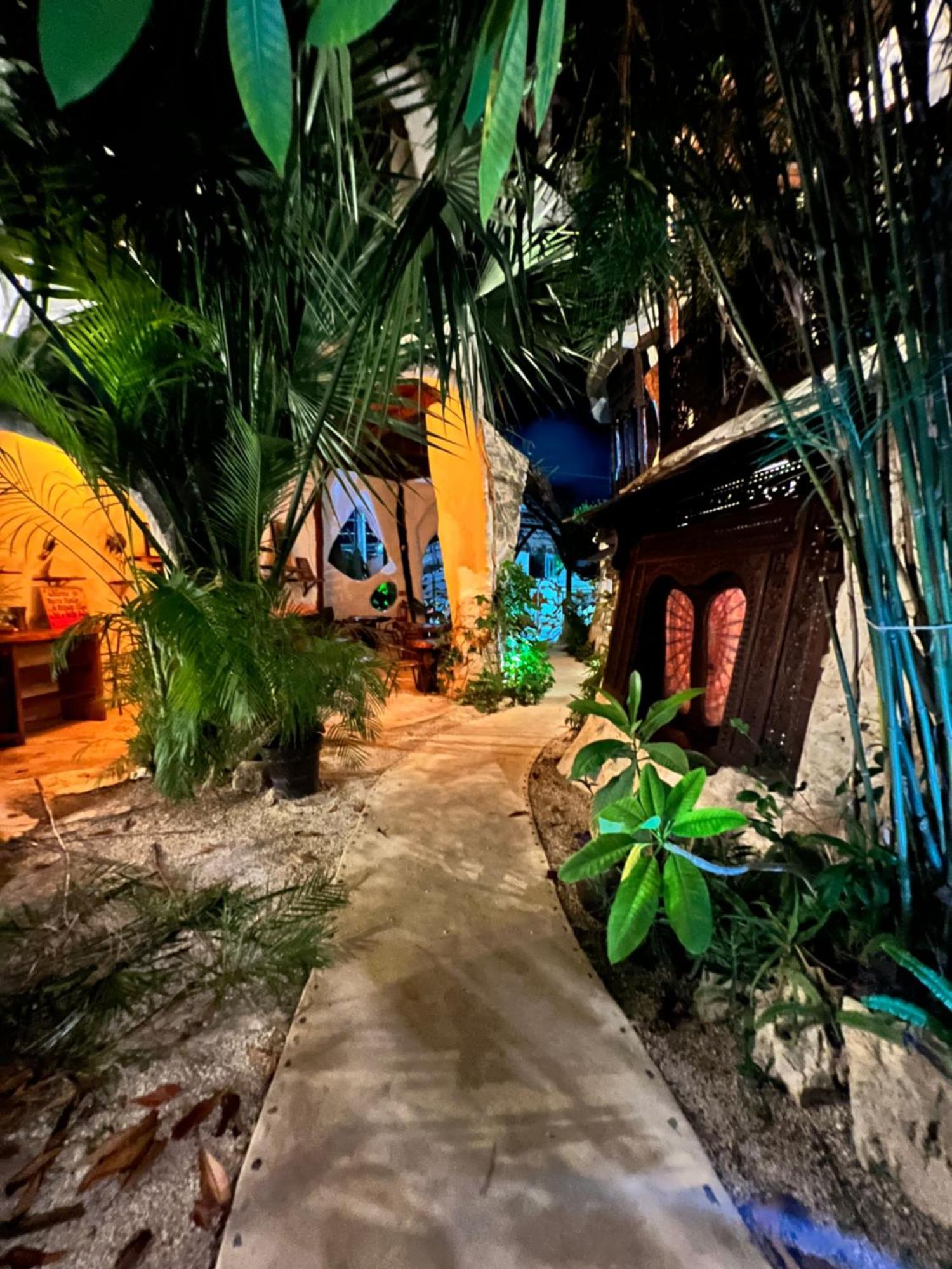 La Quinta Orquidea Bed and Breakfast Puerto Morelos Buitenkant foto