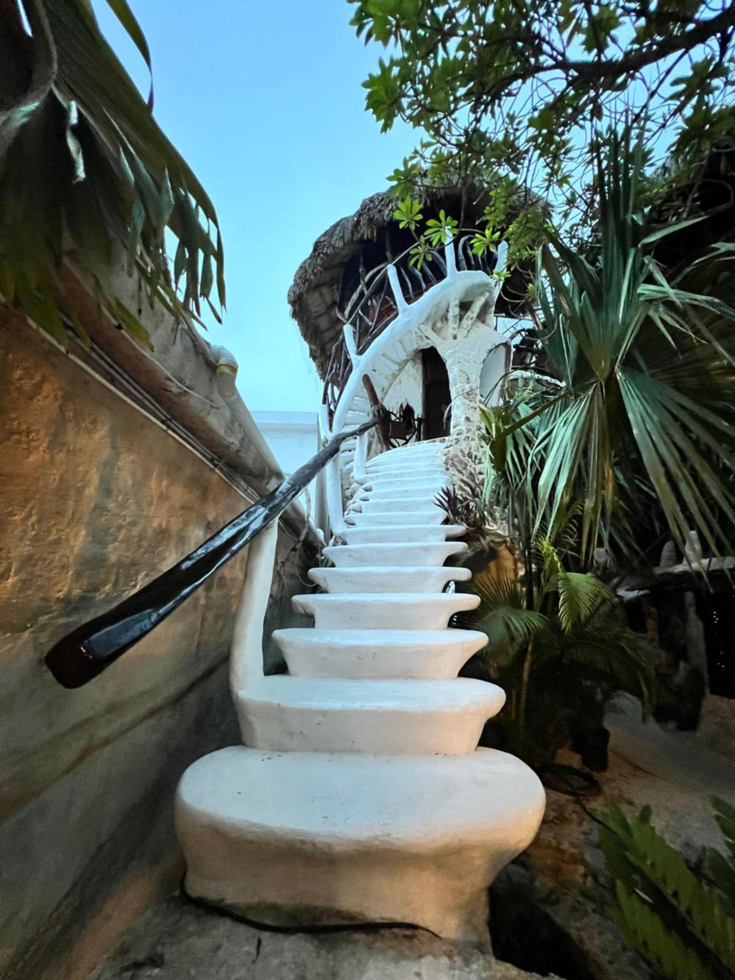 La Quinta Orquidea Bed and Breakfast Puerto Morelos Buitenkant foto